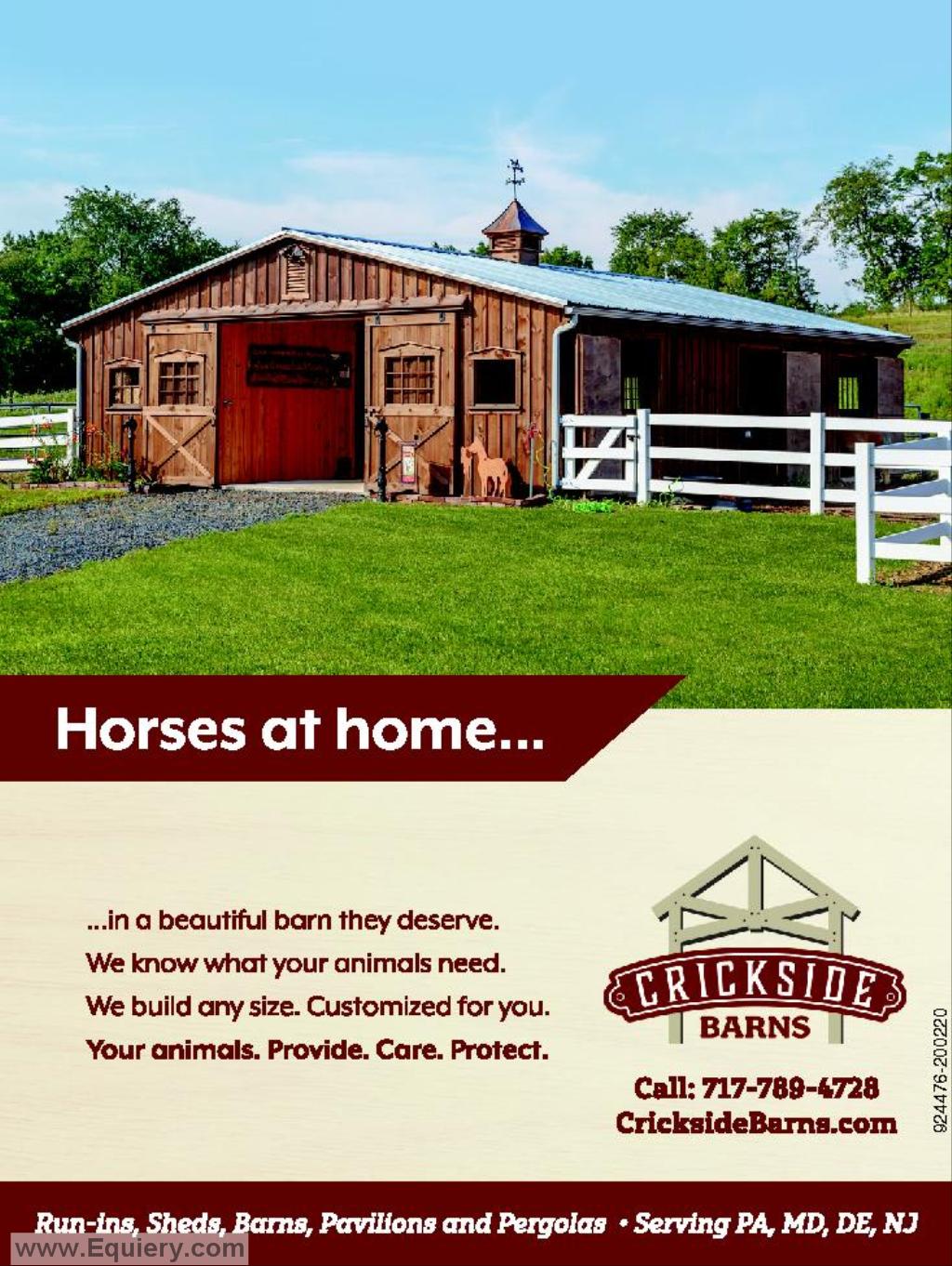 Horsetrader Com